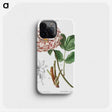 1-21_Treatise-on-Trees-and-Shrubs_phone