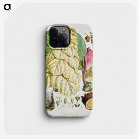 1-21_Walter-Hood-Fitch_phone