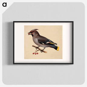 アートポスター-Bohemian waxwing - ヴィルヘルム フォン ライト Poster.