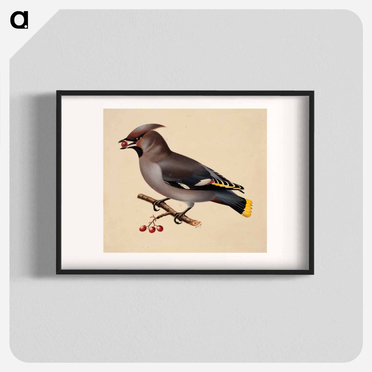 Bohemian waxwing - Wilhelm von Wright Poster.