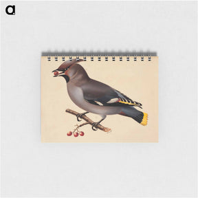 アートメモ帳-Bohemian waxwing - ヴィルヘルム フォン ライト Memo.