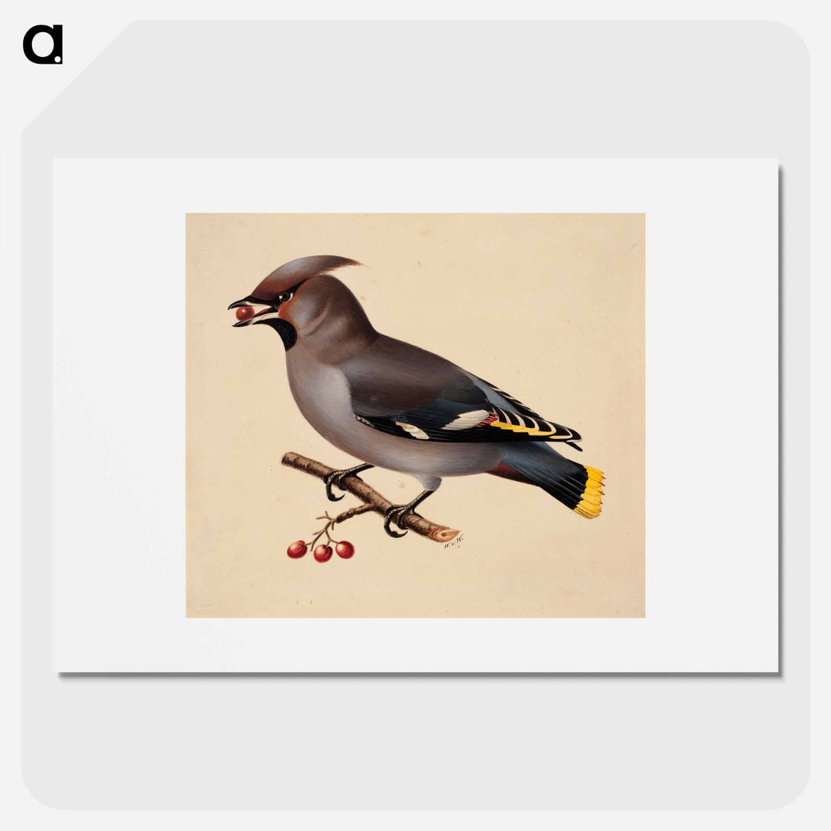 Bohemian waxwing - Wilhelm von Wright Poster.