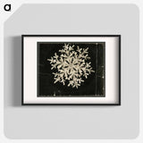 Wilson Bentley Photomicrograph of Fernlike Stellar Snowflake No. 1095 - ウィルソン ベントレー Poster.