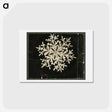 アートポストカード-Wilson Bentley Photomicrograph of Fernlike Stellar Snowflake No. 1095 - ウィルソン ベントレー Postcard.