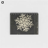 Wilson Bentley Photomicrograph of Fernlike Stellar Snowflake No. 1095 - ウィルソン ベントレー Memo.