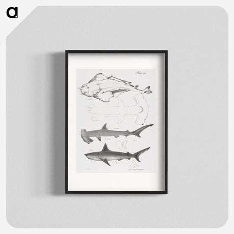 1-21_Zoology-of-New-York_blk