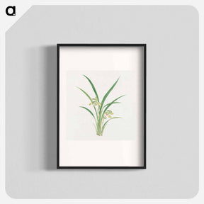 アートポスター-Mirau – March - 19世紀の日本の花 Poster.