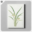 1-22_19th-Century-Japanese-Flowers_canvas
