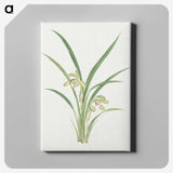 1-22_19th-Century-Japanese-Flowers_canvas