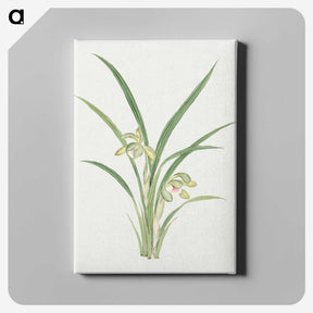 1-22_19th-Century-Japanese-Flowers_canvas