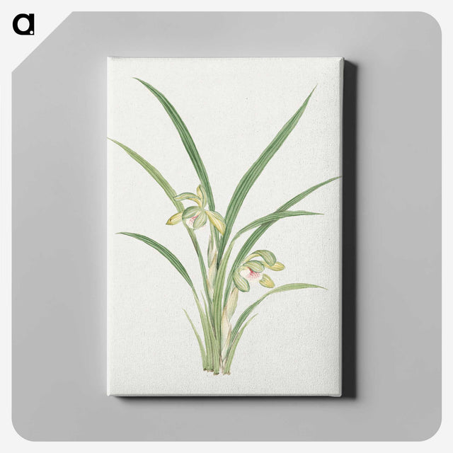 1-22_19th-Century-Japanese-Flowers_canvas