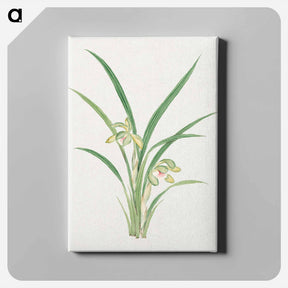 アートパネル-Mirau – March - 19世紀の日本の花 Canvas.