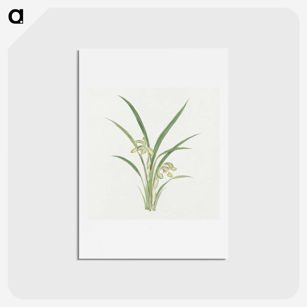 1-22_19th-Century-Japanese-Flowers_hagaki