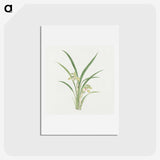 1-22_19th-Century-Japanese-Flowers_hagaki