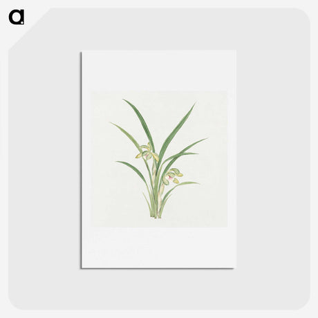 1-22_19th-Century-Japanese-Flowers_hagaki