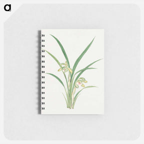 アートメモ帳-Mirau – March - 19世紀の日本の花 Memo.