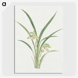 1-22_19th-Century-Japanese-Flowers_picture-crop
