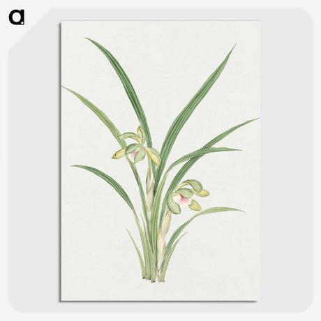1-22_19th-Century-Japanese-Flowers_picture-crop