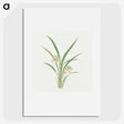 1-22_19th-Century-Japanese-Flowers_picture