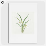 1-22_19th-Century-Japanese-Flowers_picture