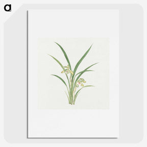 1-22_19th-Century-Japanese-Flowers_picture
