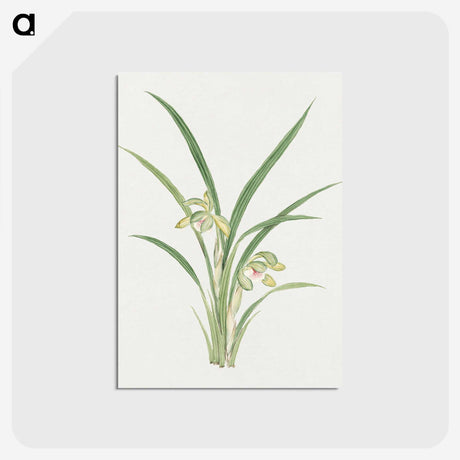 1-22_19th-Century-Japanese-Flowers_postcard