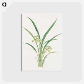 アートポストカード-Mirau – March - 19世紀の日本の花 Postcard.