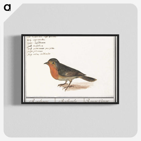 1-22_Anselmus-Boetius-de-Boodt_blk-crop