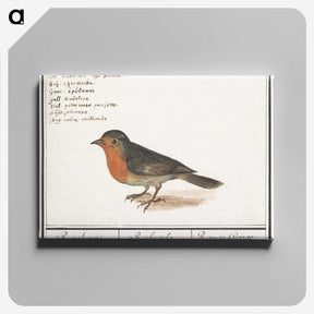 1-22_Anselmus-Boetius-de-Boodt_canvas