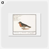 1-22_Anselmus-Boetius-de-Boodt_hagaki
