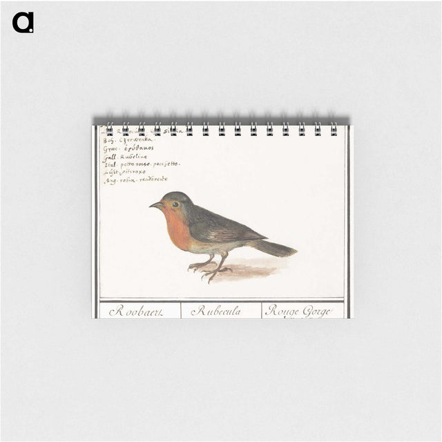 1-22_Anselmus-Boetius-de-Boodt_memo