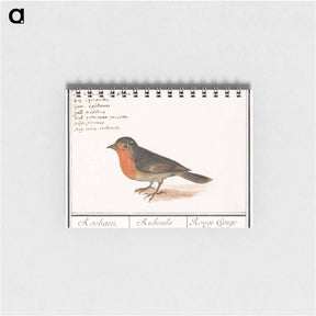 アートメモ帳-Robin - アンセルムス ボエティウス デ ブート Memo.