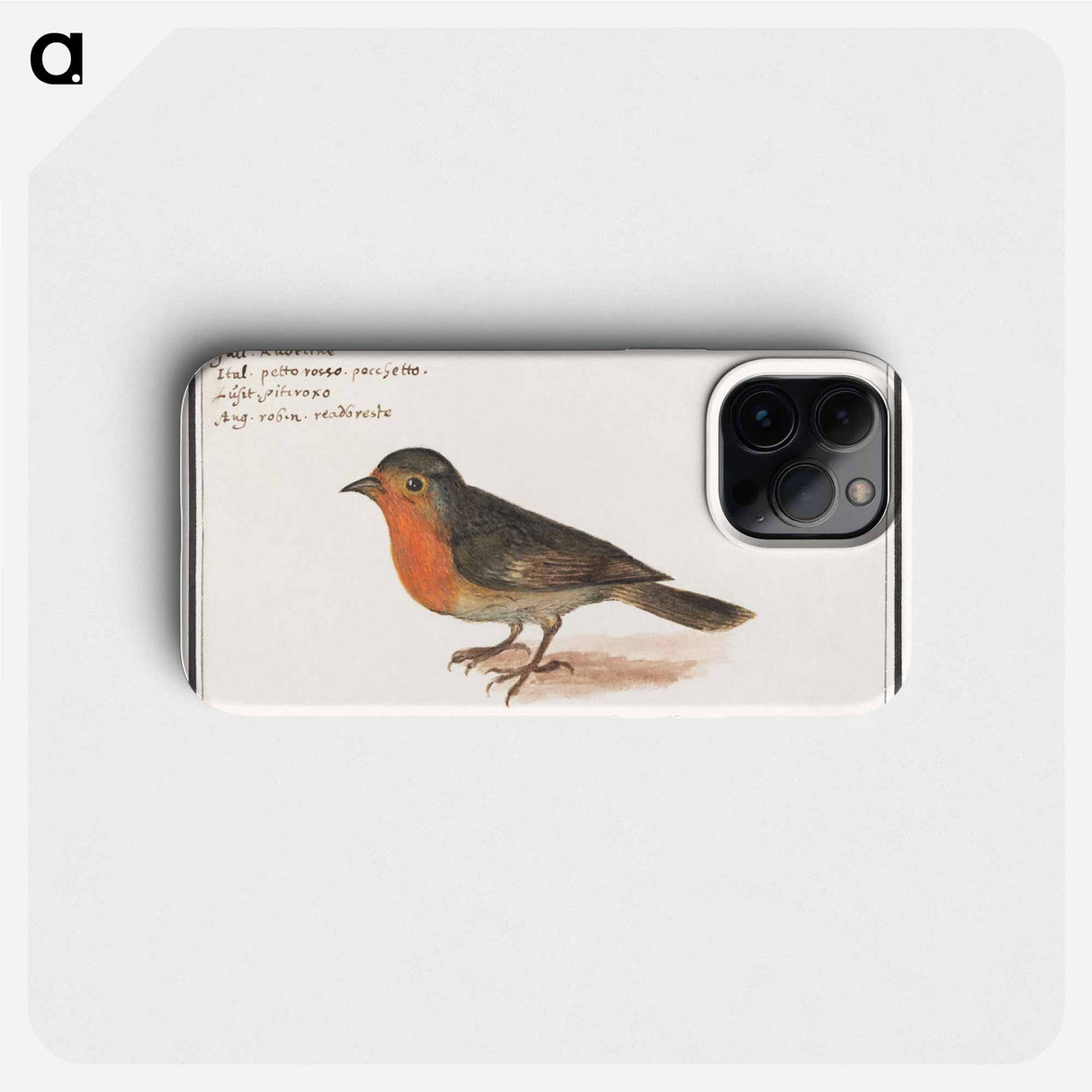 Robin - アンセルムス ボエティウス デ ブート Phone Case.