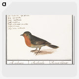 1-22_Anselmus-Boetius-de-Boodt_picture-crop