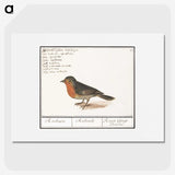 1-22_Anselmus-Boetius-de-Boodt_picture