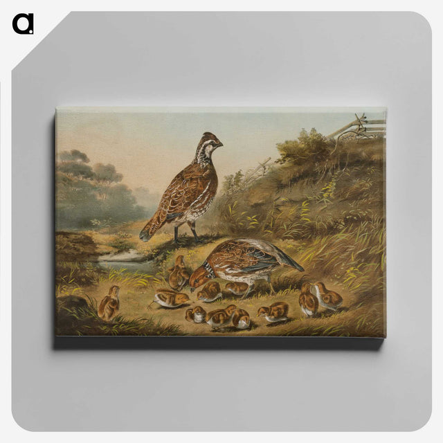 1-22_Arthur-Fitzwilliam-Tait_canvas
