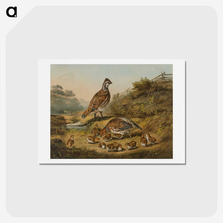 1-22_Arthur-Fitzwilliam-Tait_hagaki