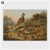 1-22_Arthur-Fitzwilliam-Tait_picture-crop