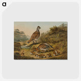 1-22_Arthur-Fitzwilliam-Tait_postcard