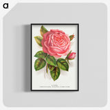 1-22_Botanical-Specimen-Plates_blk-crop