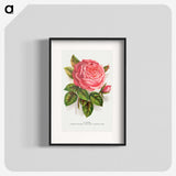 1-22_Botanical-Specimen-Plates_blk