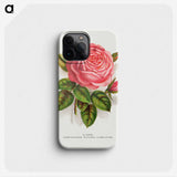1-22_Botanical-Specimen-Plates_phone