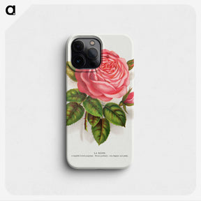 1-22_Botanical-Specimen-Plates_phone