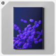 1-22_COVID-19_canvas