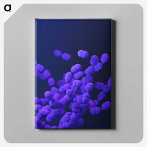 1-22_COVID-19_canvas