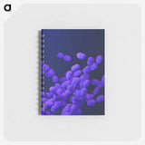 1-22_COVID-19_memo