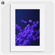 1-22_COVID-19_picture