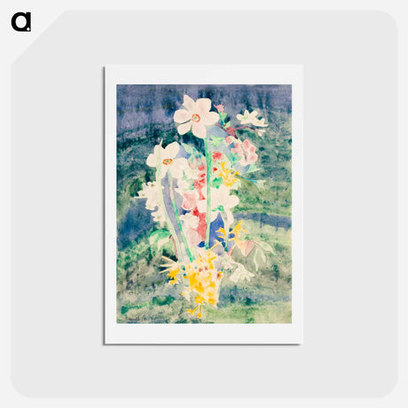 アートポストカード-Narcissi - チャールズ デムス Postcard.