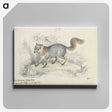 1-22_Charles-Hamilton-Smith_canvas