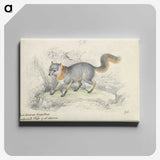 1-22_Charles-Hamilton-Smith_canvas